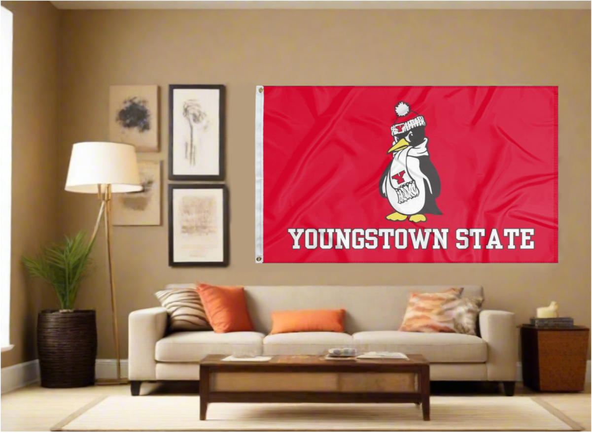 College Flags Youngstown State YSU Penguins House Flag - 30x40 Inch Double Sided Team Banner