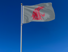 Load image into Gallery viewer, Washington State University - Cougars 3x5 Flag
