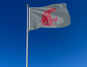 Washington State University - Cougars 3x5 Flag