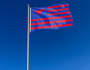 Southern Methodist University (SMU) - Mustangs National 3x5 flag