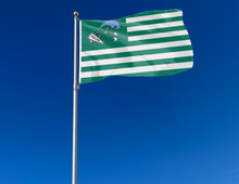 Load image into Gallery viewer, Tulane University - Green Wave National 3x5 Flag
