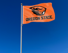Load image into Gallery viewer, 3x5 Oregon State Flag

