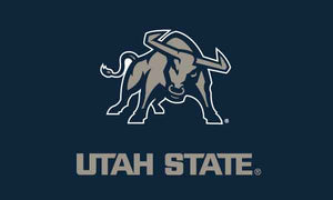Utah State University - Aggies Navy 3x5 Flag