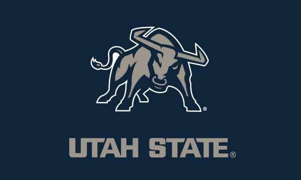 Utah State University - Aggies Navy 3x5 Flag