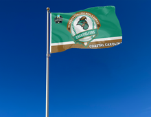 Load image into Gallery viewer, teal and gold Coastal Carolina College World Series 2025 Baseball Flag attached to flagpole waving in the wind
