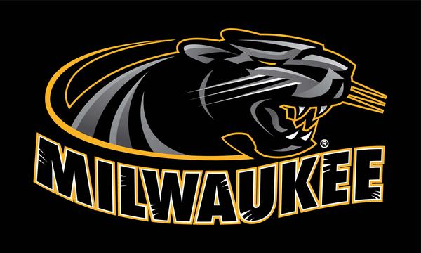 University of Wisconsin-Milwaukee - Panthers 3x5 Flag
