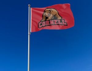 Red 3x5 foot wide Cornell University Big Red Flag with two metal grommets attached to flagpole waving in the wind