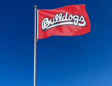 Load image into Gallery viewer, red Fresno State University 3x5 Flag with Bulldogs Logo and two metal grommets attached to flagpole waving in the wind
