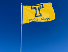 Load image into Gallery viewer, Gold 3x5 Trinity College Flag with two metal grommets for indoor home décor attached to flagpole waving in the wind
