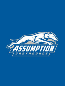 Assumption College - Greyhounds House Flag