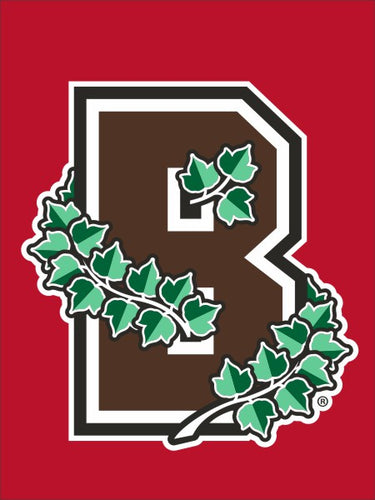 Red Brown University House Flag with B Logo