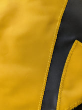 Load image into Gallery viewer, University of Iowa Applique Flag
