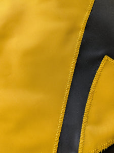 University of Iowa Applique Flag
