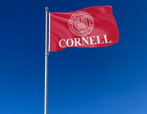 Red 3x5 foot wide Cornell University Flag with University Seal Logo and Two Metal Grommets attached to flagpole waving in the wind