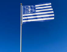 Load image into Gallery viewer, 3x5 foot wide Duke University National Flag with seven blue stripes six white stripes and two metal grommets attached to flagpole waving in the wind
