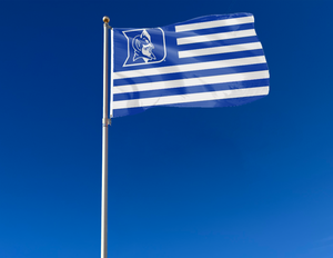 3x5 foot wide Duke University National Flag with seven blue stripes six white stripes and two metal grommets attached to flagpole waving in the wind
