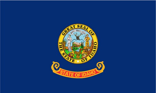 State of Idaho 3x5 Flag