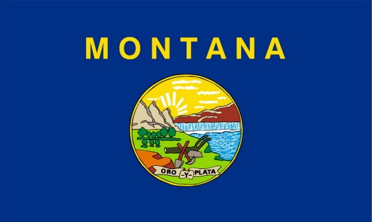 State of Montana 3x5 Flag