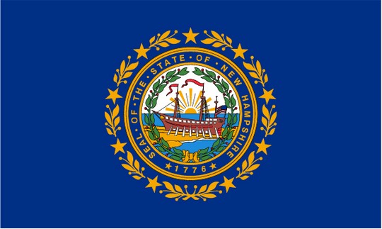 State of New Hampshire 3x5 Flag