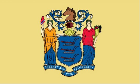 State of New Jersey 3x5 Flag