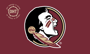 Operation Hat Trick Florida State Seminoles 3x5 Flag