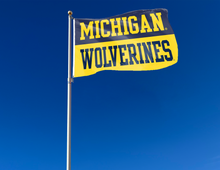 Load image into Gallery viewer, 3x5 foot wide University of Michigan Flag with Michigan Wolverines Logo and two metal grommets attached to flagpole waving in the wind
