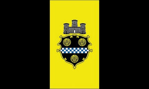 City of Pittsburgh 3x5 Flag