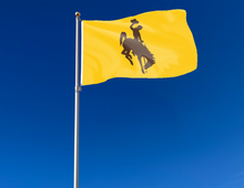 Load image into Gallery viewer, university of Wyoming flag hanging on a flagpole waving in the wind for tailgate decor
