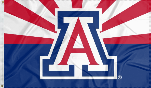 State of Arizona style University of arizona 3x5 flag with two metal grommets for indoor home decor