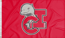 Load image into Gallery viewer, red cal state channel islands dolphins flag for college dorm decor
