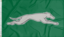 Load image into Gallery viewer, green eastern new mexico university flag for college dorm decor
