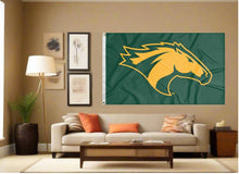 Load image into Gallery viewer, indoor display of green california polytechnic university pamona broncos flag for man cave decor
