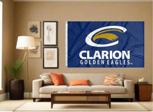 Load image into Gallery viewer, indoor display of blue clarion golden eagles flag for man cave decor
