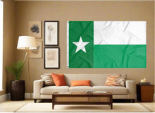 Load image into Gallery viewer, indoor display of state flag of texas style university of north texas flag for man cave decor
