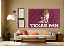 Load image into Gallery viewer, indoor display of texas a&amp;m mascot 3x5 flag for man cave decor

