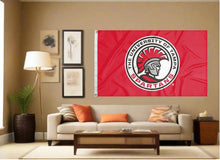 Load image into Gallery viewer, indoor display of red university of tampa spartans flag for man cave decor

