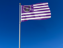 Load image into Gallery viewer, outdoor display of usa style central arkansas bears flag for tailgate decor
