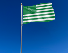 Load image into Gallery viewer, outdoor display of american flag style university of north texas flag for tailgate decor
