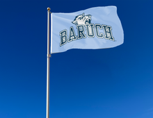 Load image into Gallery viewer, outdoor display of baruch college 3x5 flag for tailgate decor
