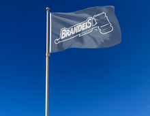 Load image into Gallery viewer, outdoor display of blue brandeis judges athletics flag for tailgate decor

