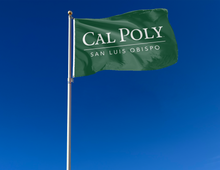 Load image into Gallery viewer, outdoor display of cal poly san luis obispo flag for tailgate decor
