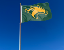 Load image into Gallery viewer, outdoor display of green california polytechnic university pamona broncos flag for tailgate decor
