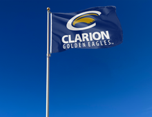 Load image into Gallery viewer, outdoor display of blue clarion golden eagles flag for tailgate decor
