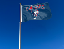 Load image into Gallery viewer, outdoor display of blue columbus state university cougars flag for tailgate decor
