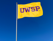 Load image into Gallery viewer, outdoor display of gold uwsp pointers flag for tailgate decor
