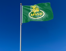 Load image into Gallery viewer, outdoor display of mssu lions flag for tailgate decor
