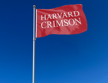 Load image into Gallery viewer, outdoor display of red harvard crimson 3x5 flag for tailgate decor
