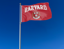 Load image into Gallery viewer, outdoor display of red harvard university flag for tailgate decor
