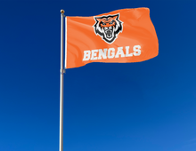 Load image into Gallery viewer, outdoor display of idaho state bengals flag for tailgate decor
