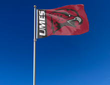 Load image into Gallery viewer, outdoor display of maryland eastern shore flag for tailgate decor
